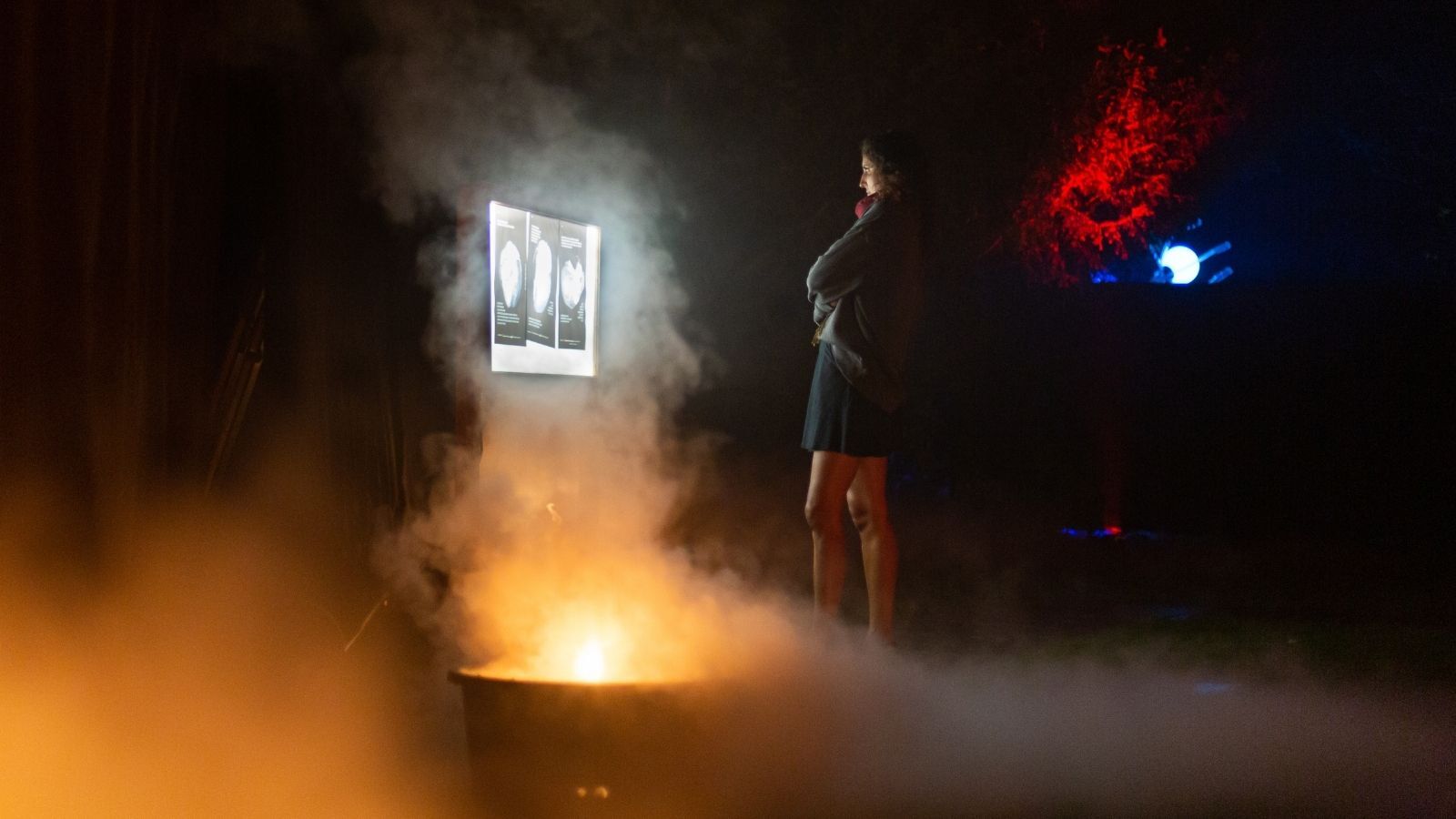 BODY: an immersive night-time installation